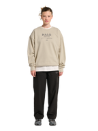 HALO GRAPHIC BOXY CREW