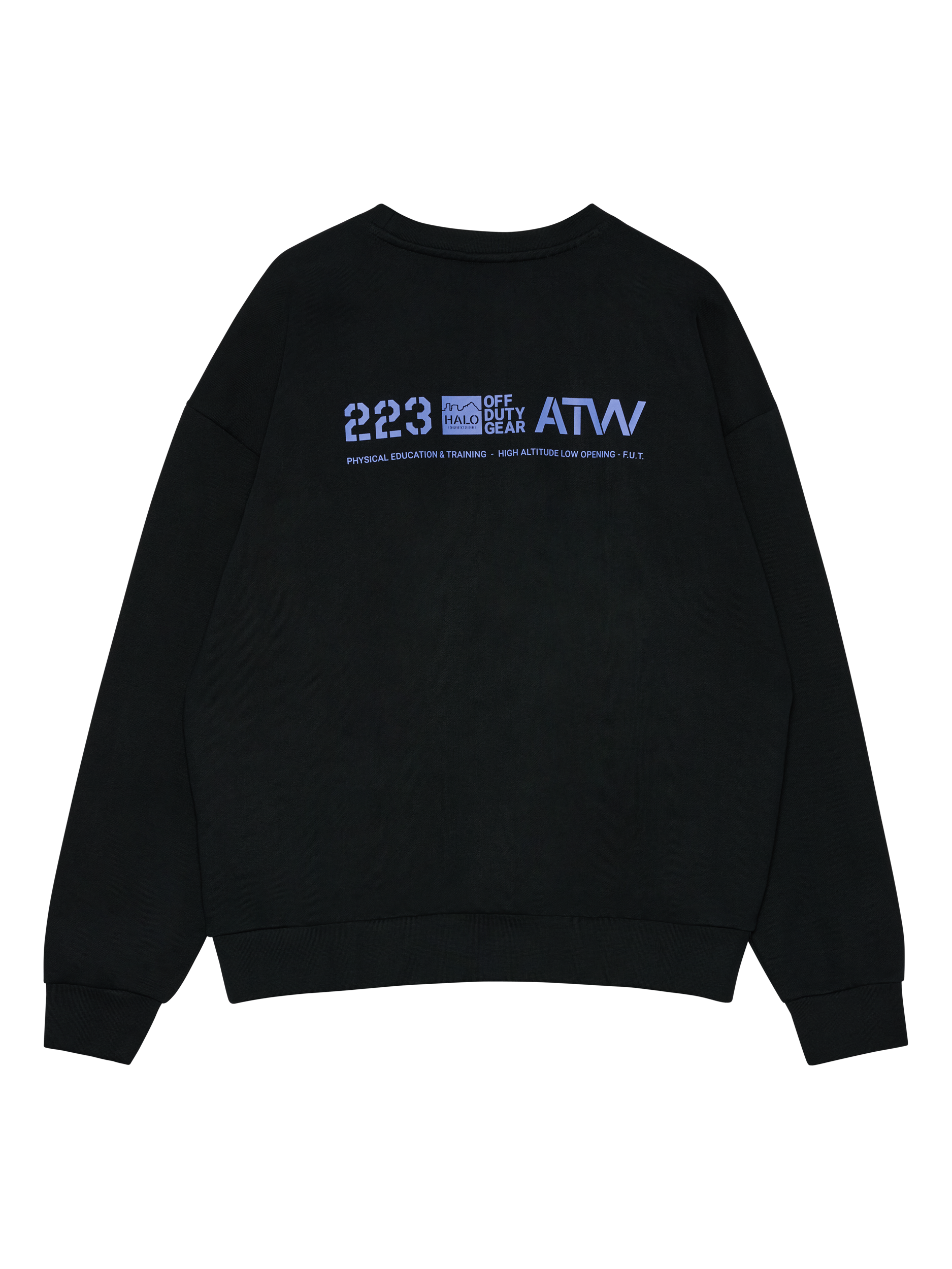 HALO GRAPHIC BOXY CREW