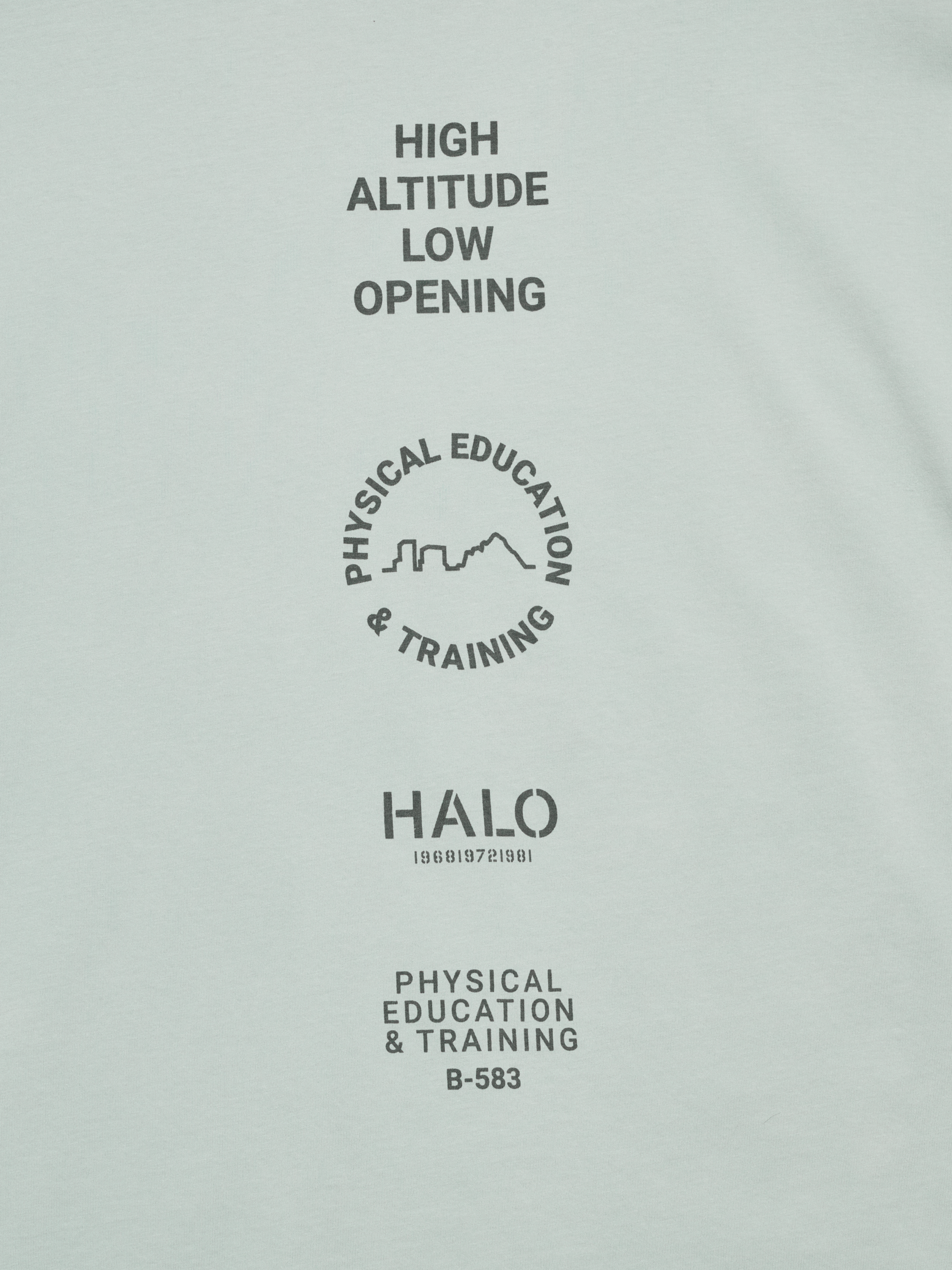 HALO GRAPHIC LOGO BOXY T-SHIRT