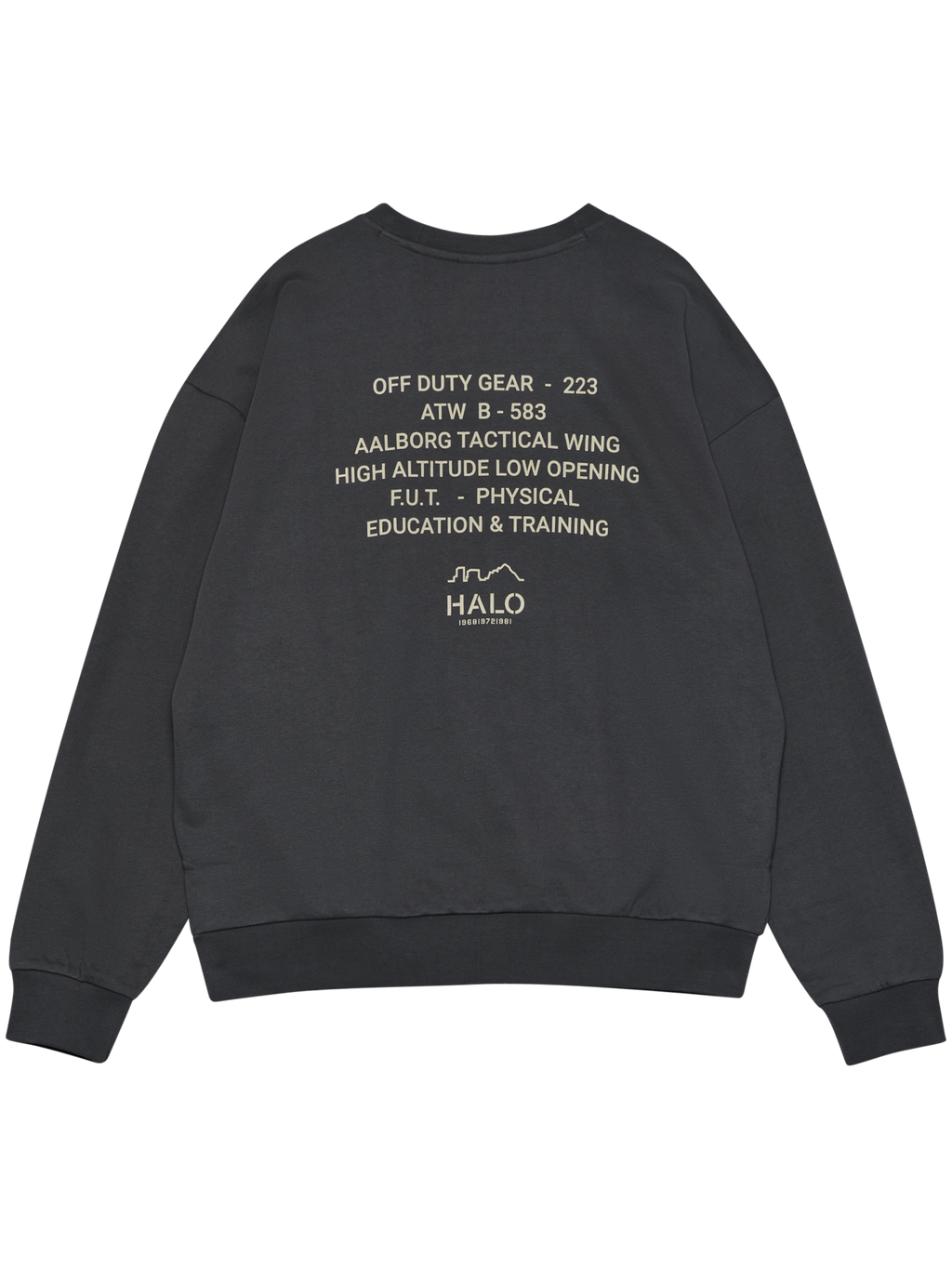 HALO GRAPHIC BOXY CREW