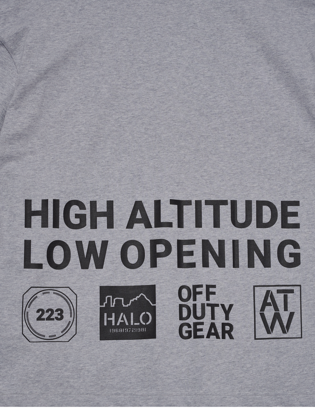 HALO GRAPHIC BOXY T-SHIRT