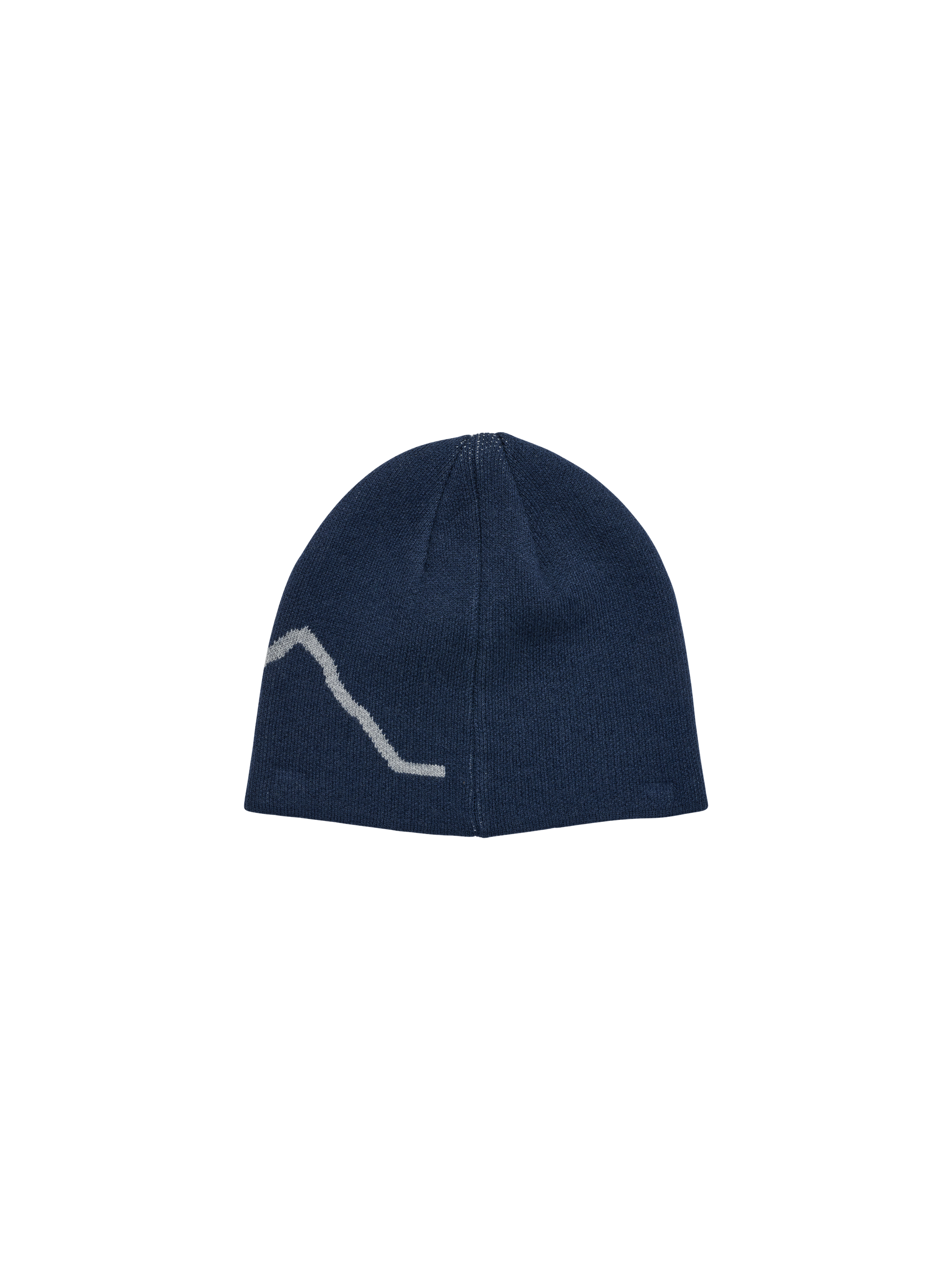 HALO LOGO BEANIE