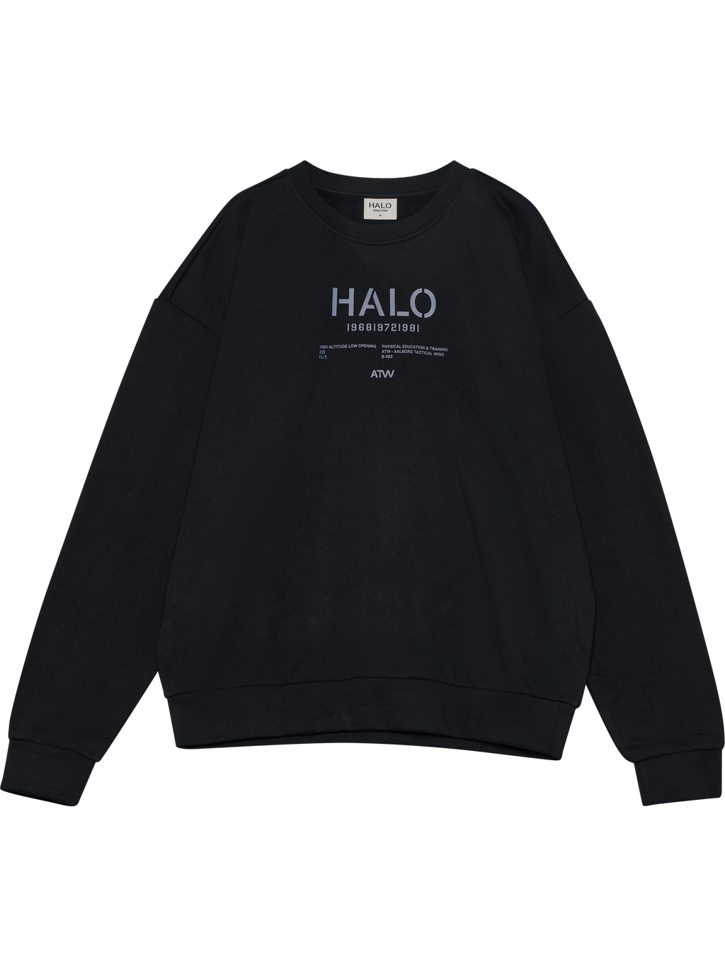 HALO GRAPHIC BOXY CREW