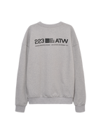 HALO GRAPHIC BOXY CREW